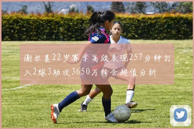 谢尔基22岁赛季高效表现257分钟打入2球3助攻3650万转会超值分析